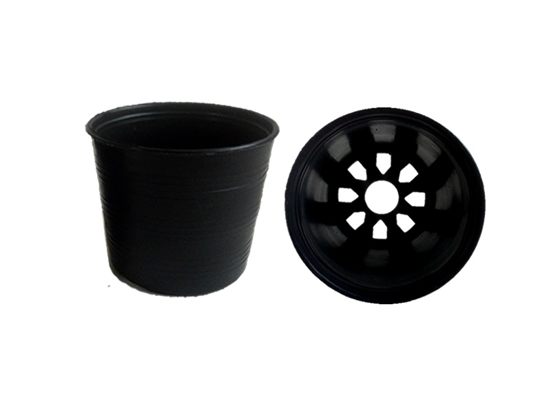 Black Plant pot 3”